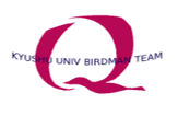 Qbirdman TOP